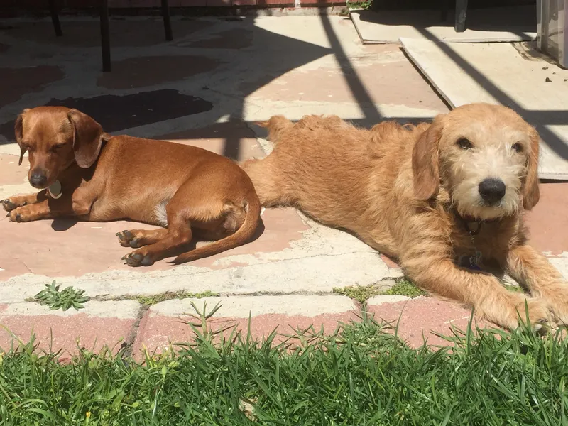 Carlos & Phoebe